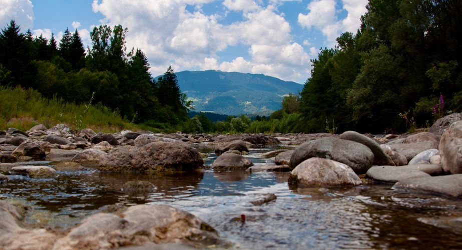 Natuur van Slovenie Natuur van Slovenie